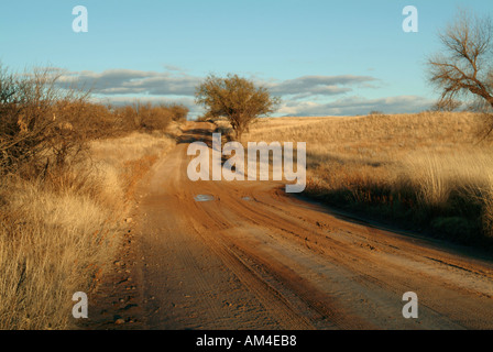 Chemin de terre boueux à travers les champs Banque D'Images