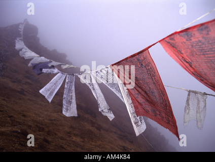 Les drapeaux de prières dans le brouillard sur une crête au-dessus du Monastère de Tengboche Khumbu au Népal Banque D'Images