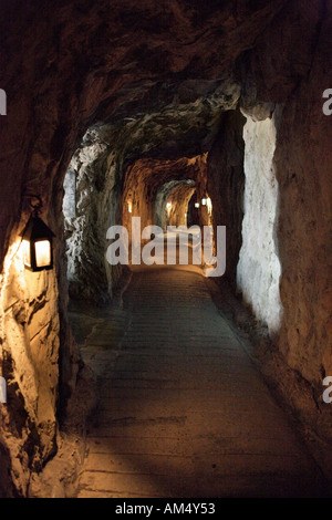 Le Grand Siège de tunnels, l'Histoire Naturelle, le parc du patrimoine Upper Rock, Gibraltar, Banque D'Images