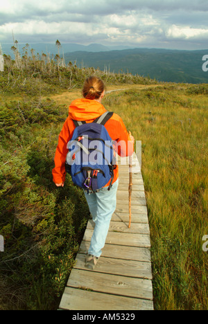 woman hikes on boardwalk in a mountain park Banque D'Images