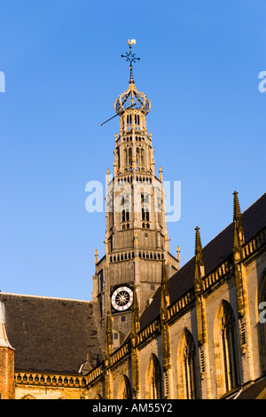 Tour de l'horloge du quartier gothique ou Grote Kerk Église Saint-bavon ancienne cathédrale à Haarlem en Hollande, aux Pays-Bas. Banque D'Images