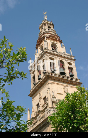 Cordoba Espagne Alminar tour de la Mezquita La Grande Mosquée Banque D'Images