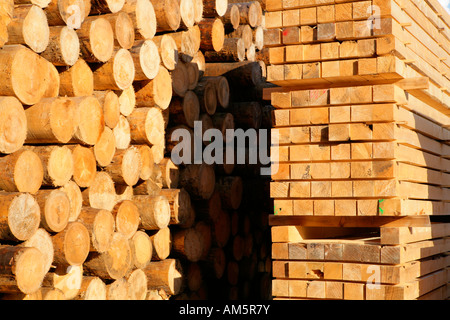 Coque de troncs d'arbres et des poutres sur un marchand Banque D'Images