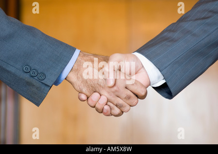 Close-up of a businessman and a businesswoman shaking hands Banque D'Images