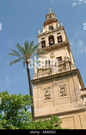 Cordoba Espagne Alminar tour de la Mezquita La Grande Mosquée Banque D'Images