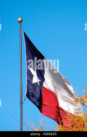 Texas State drapeau sur mât dans Breeze Banque D'Images
