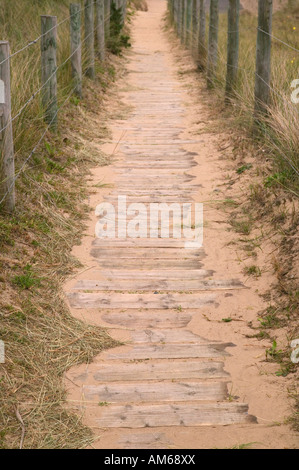 Chemin en bois menant à la plage DOF peu profondes Banque D'Images