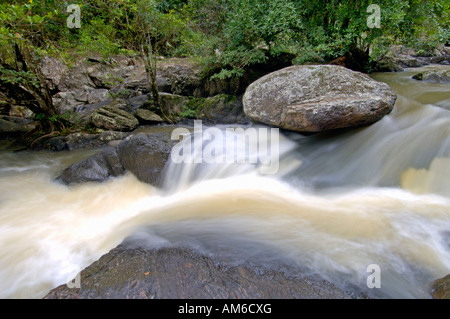 Rivière Lamtakong Khao Yai, Thaïlande NP Banque D'Images