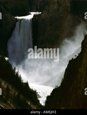 USA - WYOMING Yellowstone Falls : dans le Parc National de Yellowstone Banque D'Images