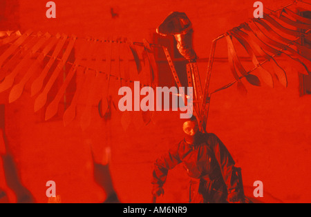 L'arbo ball de diables Banque D'Images