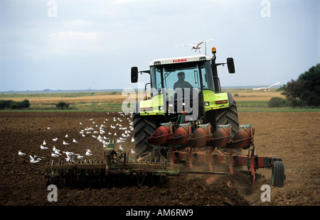 La terre cultivée dans une ferme de Bawdsey, Suffolk, UK. Banque D'Images