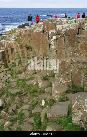 Les touristes à pied sur les spectaculaires rochers basaltiques hexagonales de la Chaussée des Géants, le comté d'Antrim Coast Irlande du Nord Royaume-uni de NI Banque D'Images