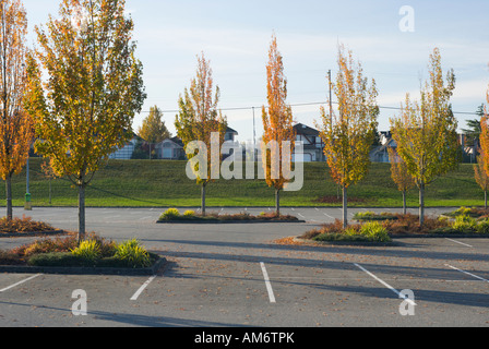 Parking vide avec des arbres en automne Banque D'Images