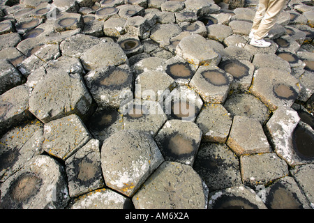 Close up de la forme hexagonale des pierres sur la Chaussée des Géants Co Antrim site du patrimoine mondial de l'Irlande du Nord britannique NI GO Banque D'Images