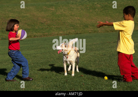 Enfants jouant avec un chien l'Australie Banque D'Images