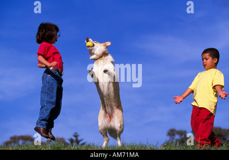 Enfants jouant avec un chien l'Australie Banque D'Images