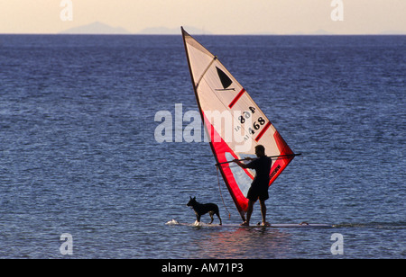 L'homme et le chien de la planche à voile, de l'Australie Banque D'Images