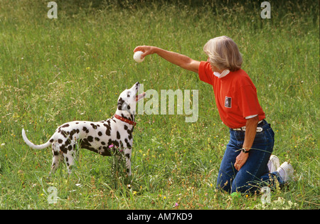 Femme avec chien Dalmatien - lecture on meadow Banque D'Images