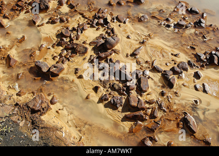 Roulement à la boue minérale Mineral Creek, Dempster, Territoire du Yukon, Canada Banque D'Images
