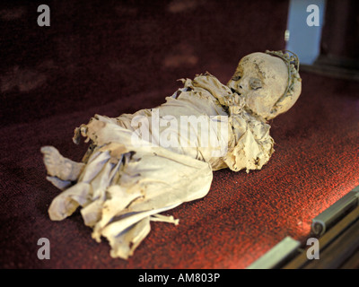 Un mignon petit enfant momifié établit endormis dans le musée des momies au Mexique. Banque D'Images