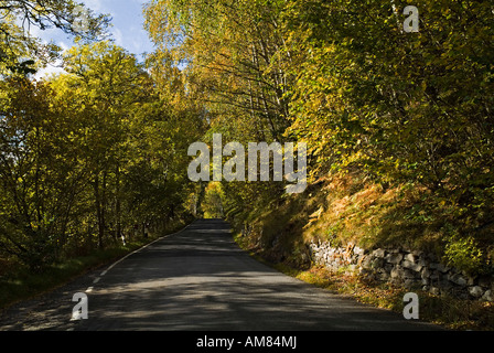 Dh STRATHTUMMEL bordée vide PERTHSHIRE forest country road Banque D'Images