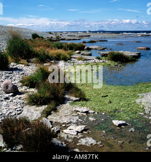 Neptuni Akrar (champs de Neptune), de la Suède, Oeland Banque D'Images