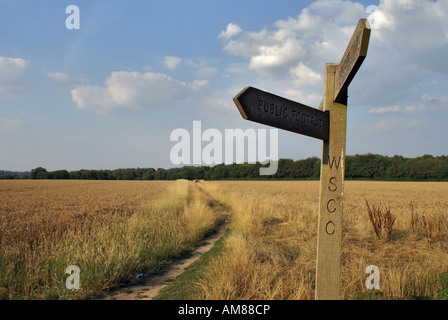 À travers un champ public bridleway dans West Sussex Banque D'Images