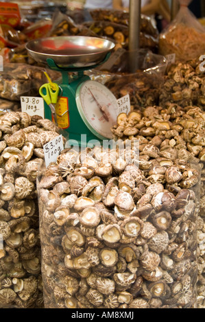 Les champignons séchés dans des seaux à la vente avec une échelle dans un magasin chinois à Singapour Banque D'Images