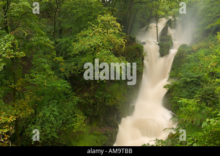 En stock Ghyll Ambleside Lake district inondation complète Banque D'Images