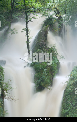 En stock Ghyll Ambleside Lake district inondation complète Banque D'Images