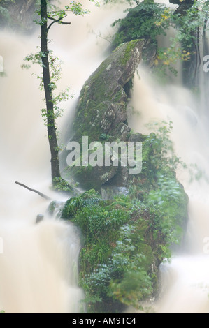 En stock Ghyll Ambleside Lake district inondation complète Banque D'Images