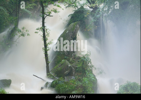 En stock Ghyll Ambleside Lake district inondation complète Banque D'Images