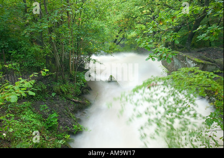 En stock Ghyll Ambleside Lake district inondation complète Banque D'Images