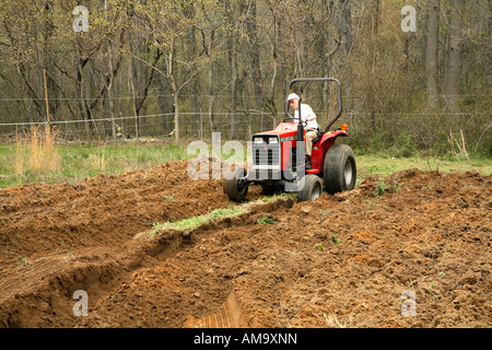 Homme conduisant un petit tracteur labourant ou labourer sur terrain ferme spécialiste Banque D'Images