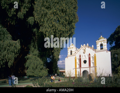 Église près de l'arbre de Tule Etat de Oaxaca au Mexique Banque D'Images