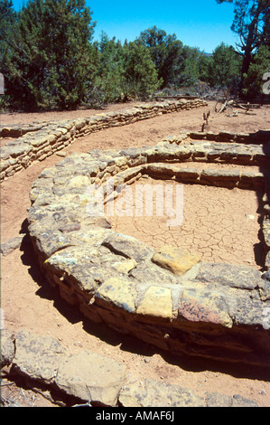 Des ruines indiennes magnifiquement préservé et les objets peuvent être vus dans le Parc National de Mesa Verde dans le sud-ouest américain. Banque D'Images