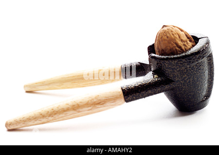 Casse-noisette avec noyer, close-up Banque D'Images