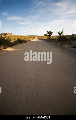 Un chemin de terre à travers un paysage aride Banque D'Images