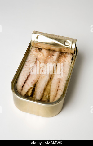 Une boîte de sardines Banque D'Images