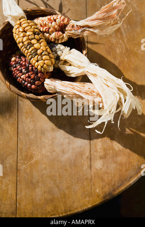 Les épis de maïs séchés dans un bol Banque D'Images