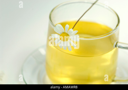 Camomille dans verre tasse de thé Banque D'Images