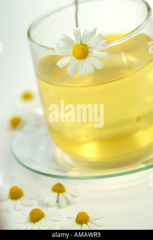 Camomille dans verre tasse de thé Banque D'Images