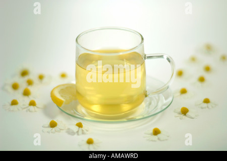 Dans la tasse de thé de camomille de fleurs et de citron, close-up Banque D'Images