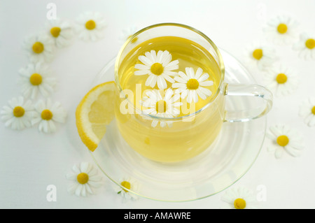 Dans la tasse de thé de camomille de fleurs et de citron, close-up Banque D'Images