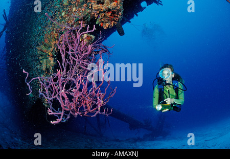 Scuba Diver sur l'épave Hilma Hooker Bonaire Antilles Mer des Caraïbes Banque D'Images