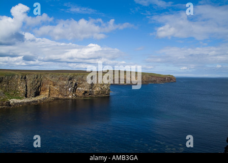 Dh Mull ORKNEY DEERNESS Chef Mullhead seacliffs réserve naturelle Howan Lickan coast Banque D'Images