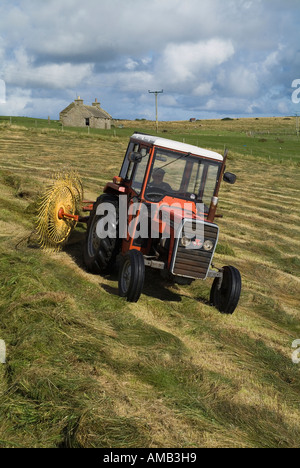 dh Massey Ferguson RÉCOLTE de tracteur Royaume-Uni épandage d'ensilage à l'herbe sèche pour la récolte de la ferme agricole de campagne Orkney Banque D'Images