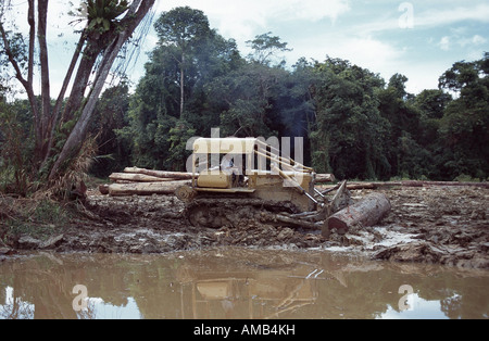 La destruction des forêts tropicales, l'Indonésie, Bornéo Banque D'Images