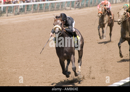Les jockeys et les chevaux en compétition à l'hippodrome de Saratoga Springs USA Août 2006 Banque D'Images