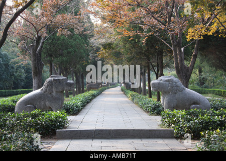 Avenue de pierre animaux, Tombeau Ming, Chine Banque D'Images